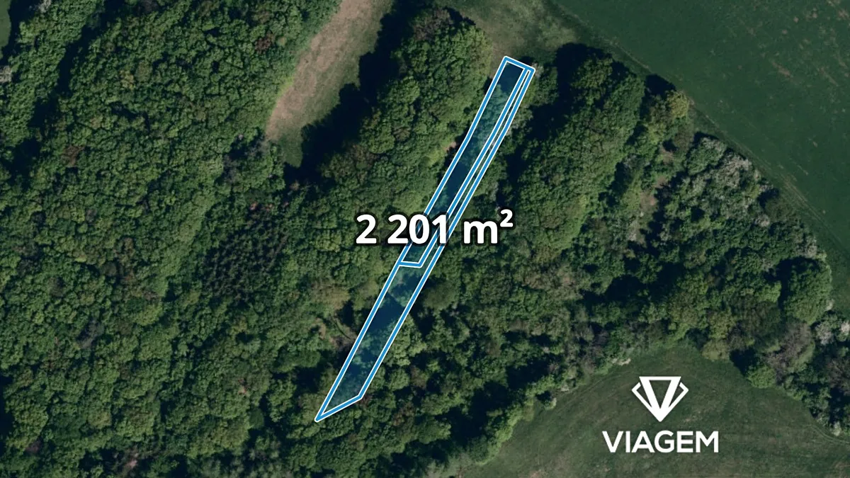 Prodej podílu 1/2 lesa 1100 m²